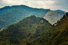 Destroyed forest in Uganda