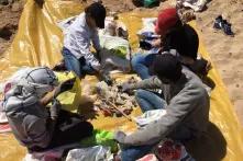 Zero Zbel - Marokko: Menschen sammeln Plastikmüll am Strand