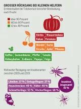 Pestizidatlas Infografik: Ernteeinbußen bei Totalverlust tierischer Bestäubung, nach Frucht