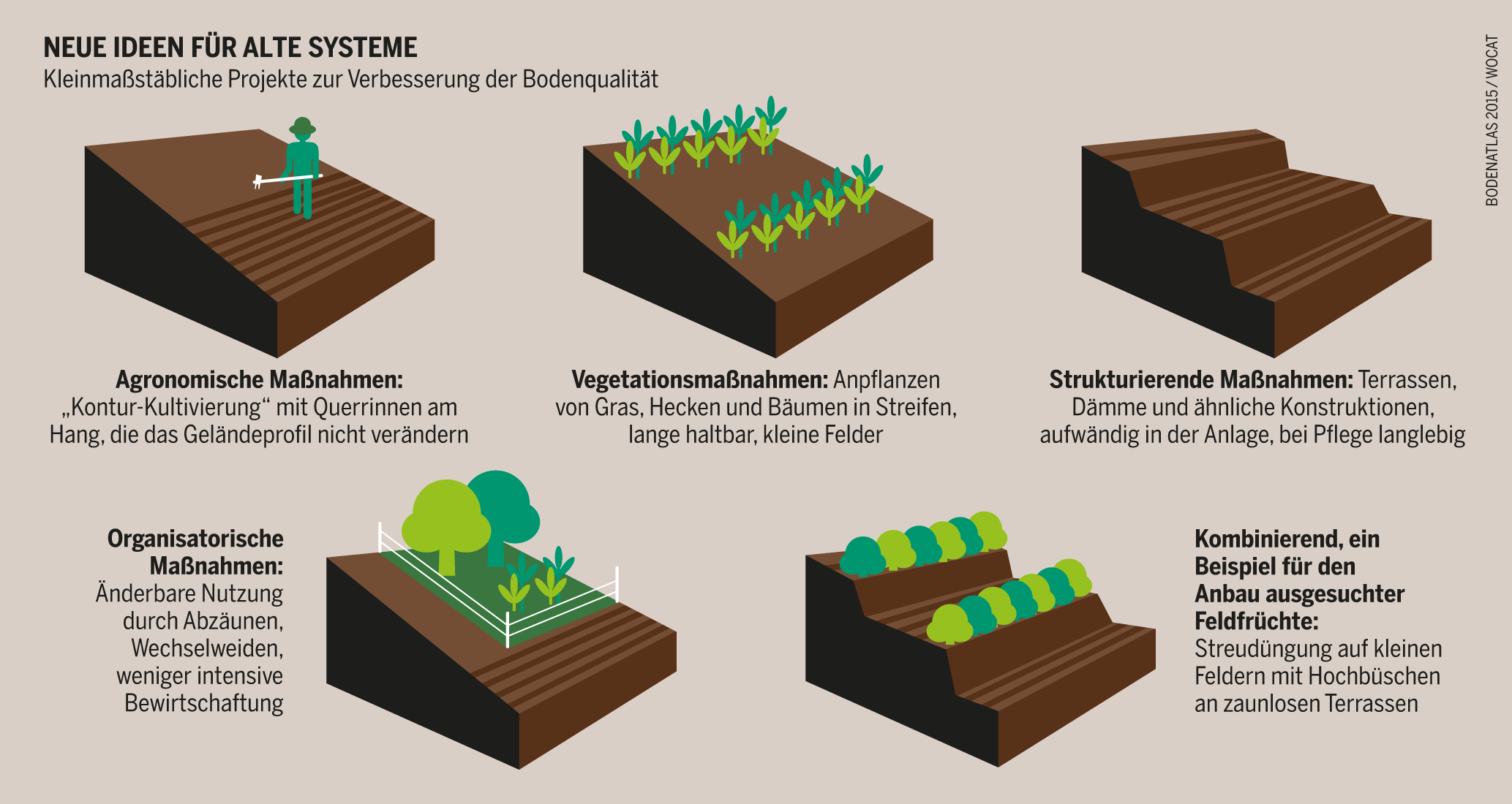 download die ernährung physiologie ·