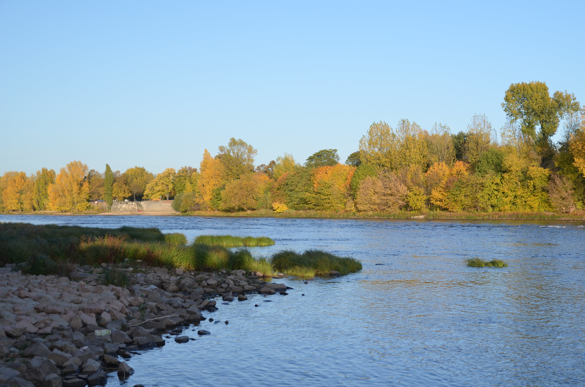 Die Elbe bei Magdeburg Das Bild zeigt die Elbe bei Magdeburg