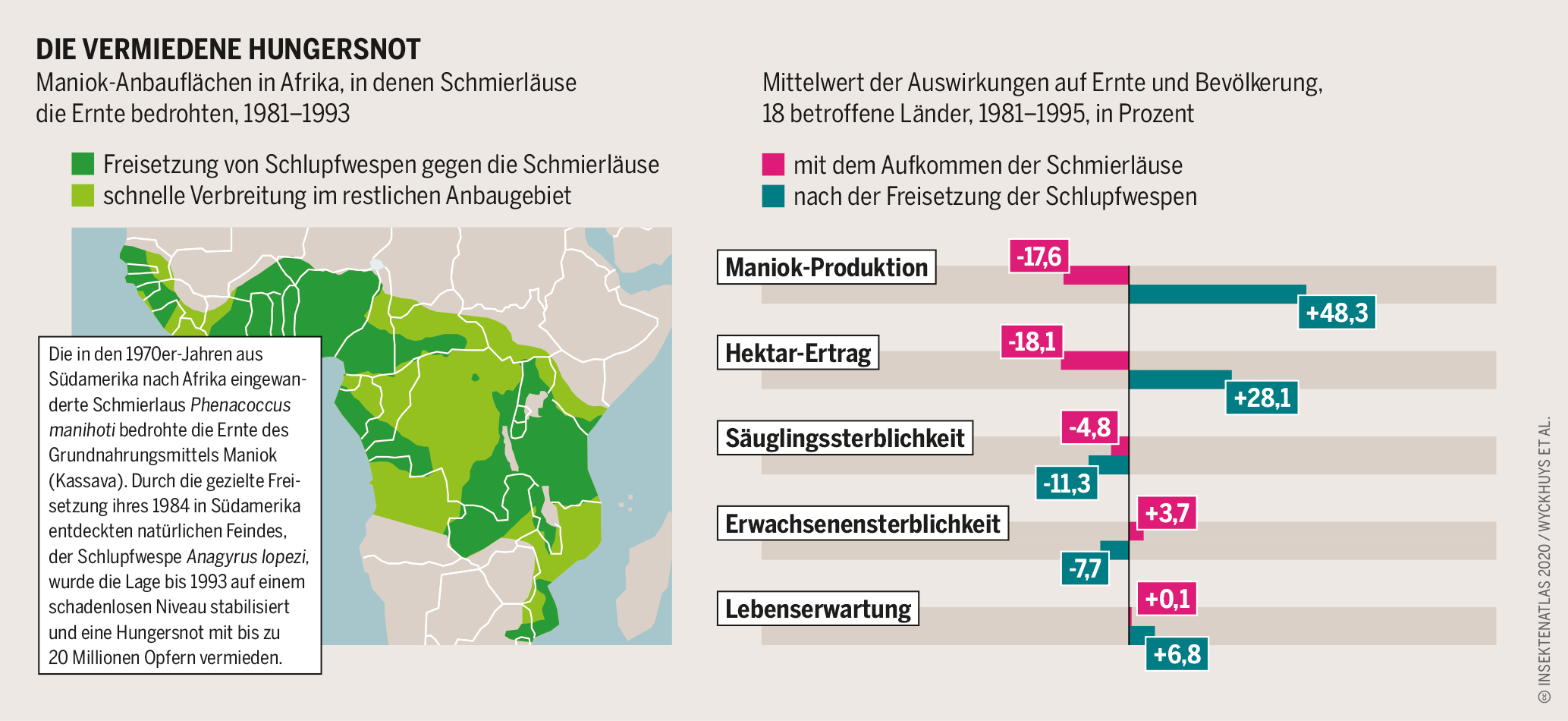 Grafik: Maniok-Anbauflächen in Afrika, in denen Schmierläuse die Ernte bedrohten, 1981–1993