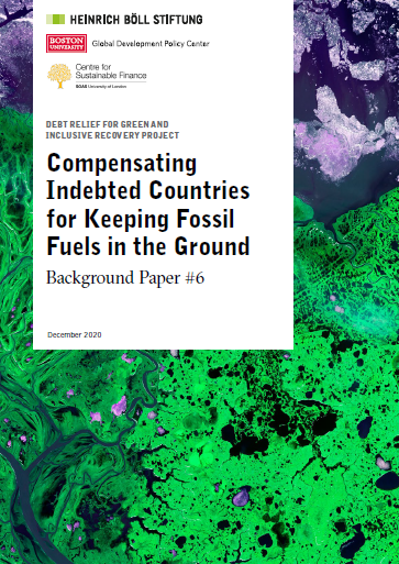 Debt Relief for Green and Inclusive Recovery | Heinrich Böll Stiftung