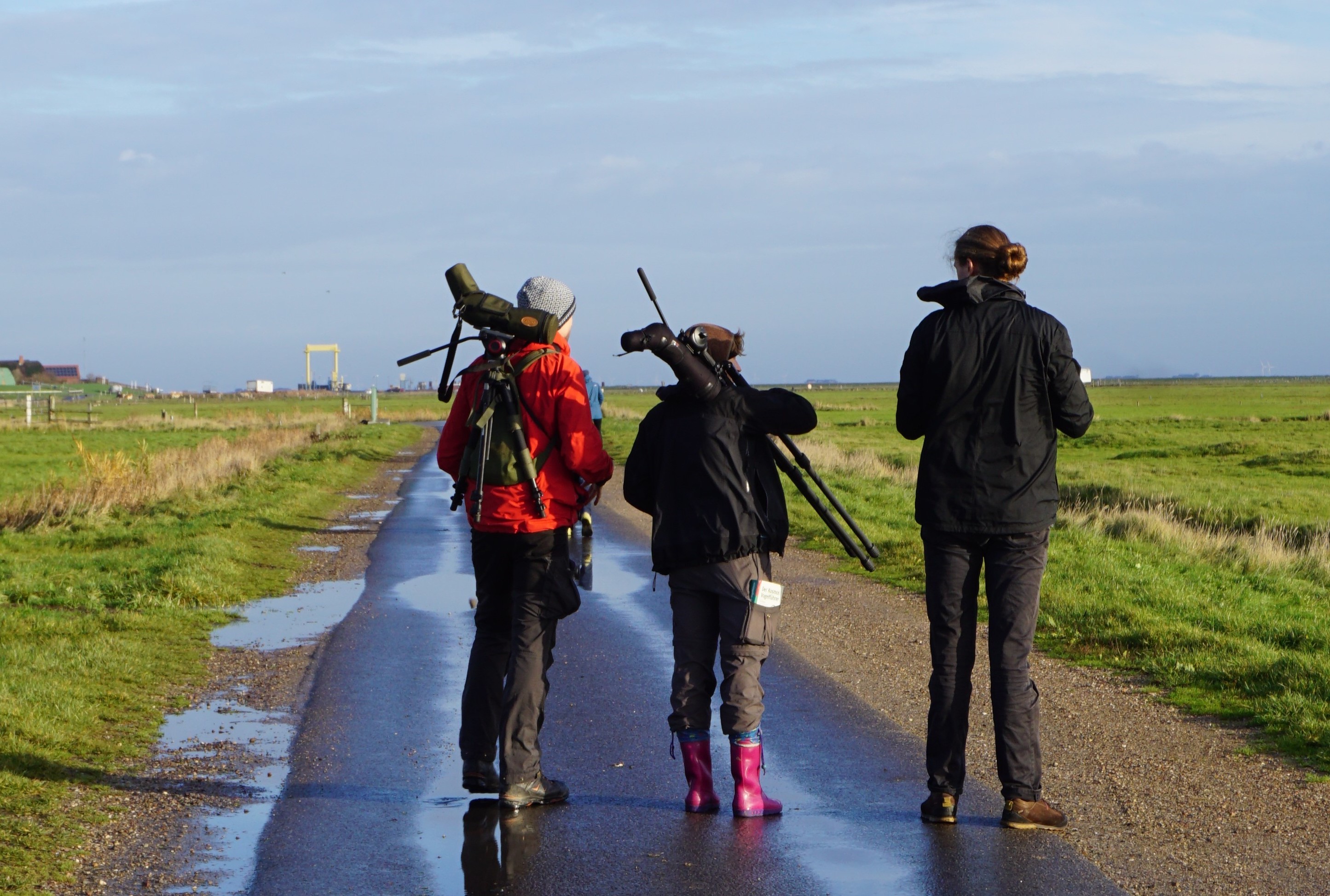 Adhoc-Treffen von Stipendiat*innen auf Hallig Hooge im November 2018