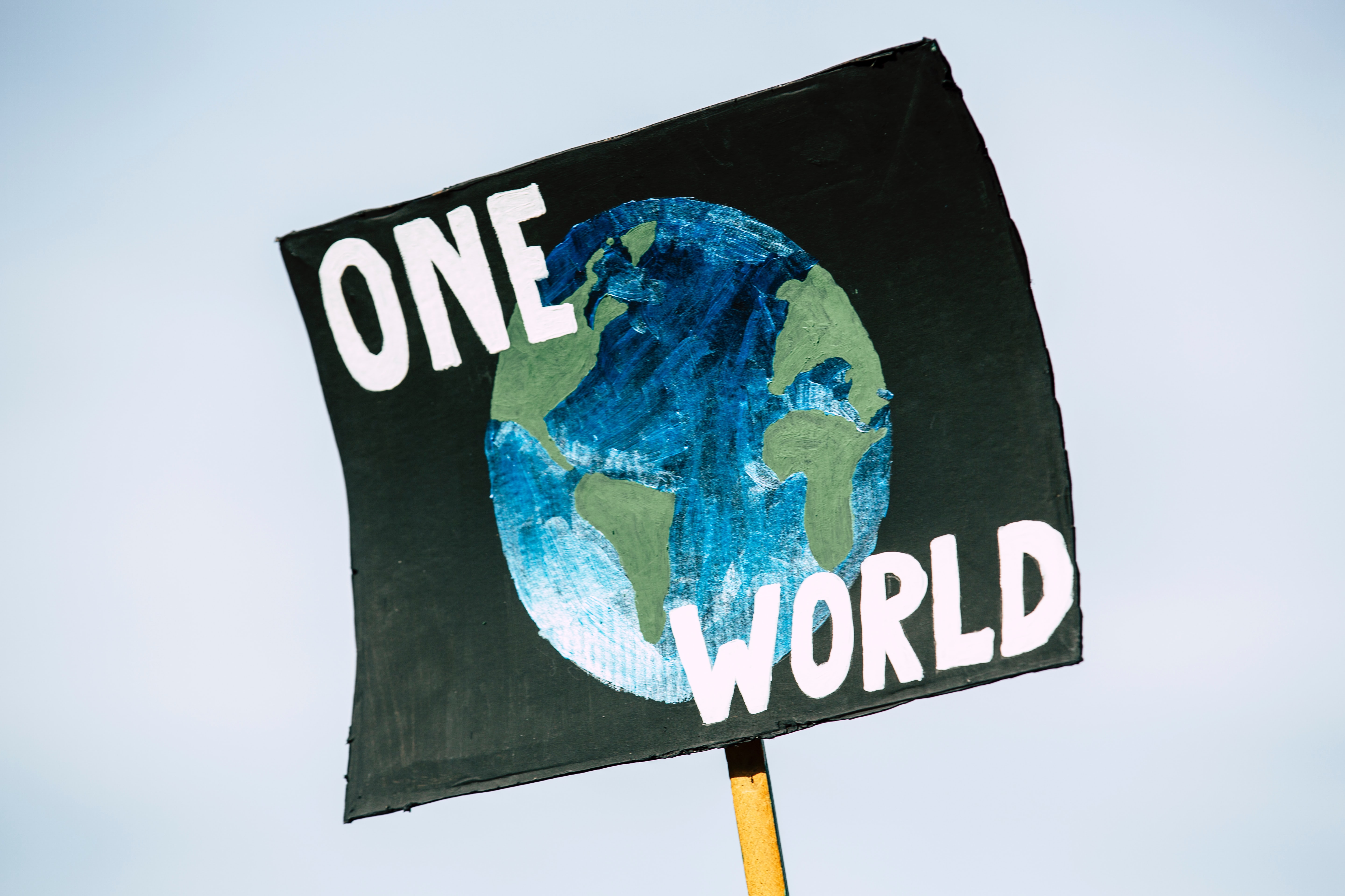One World One World