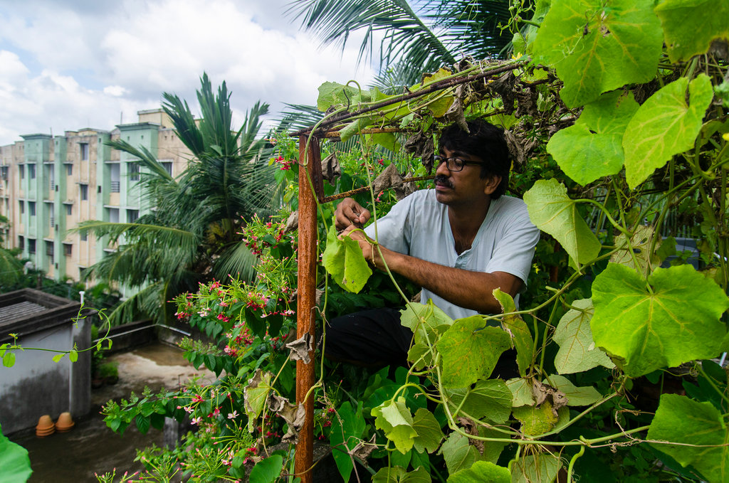 Dachgarten in Kalkutta, Indien Ein Mensch arbeitet in einem Garten auf dem Dach einens Hauses