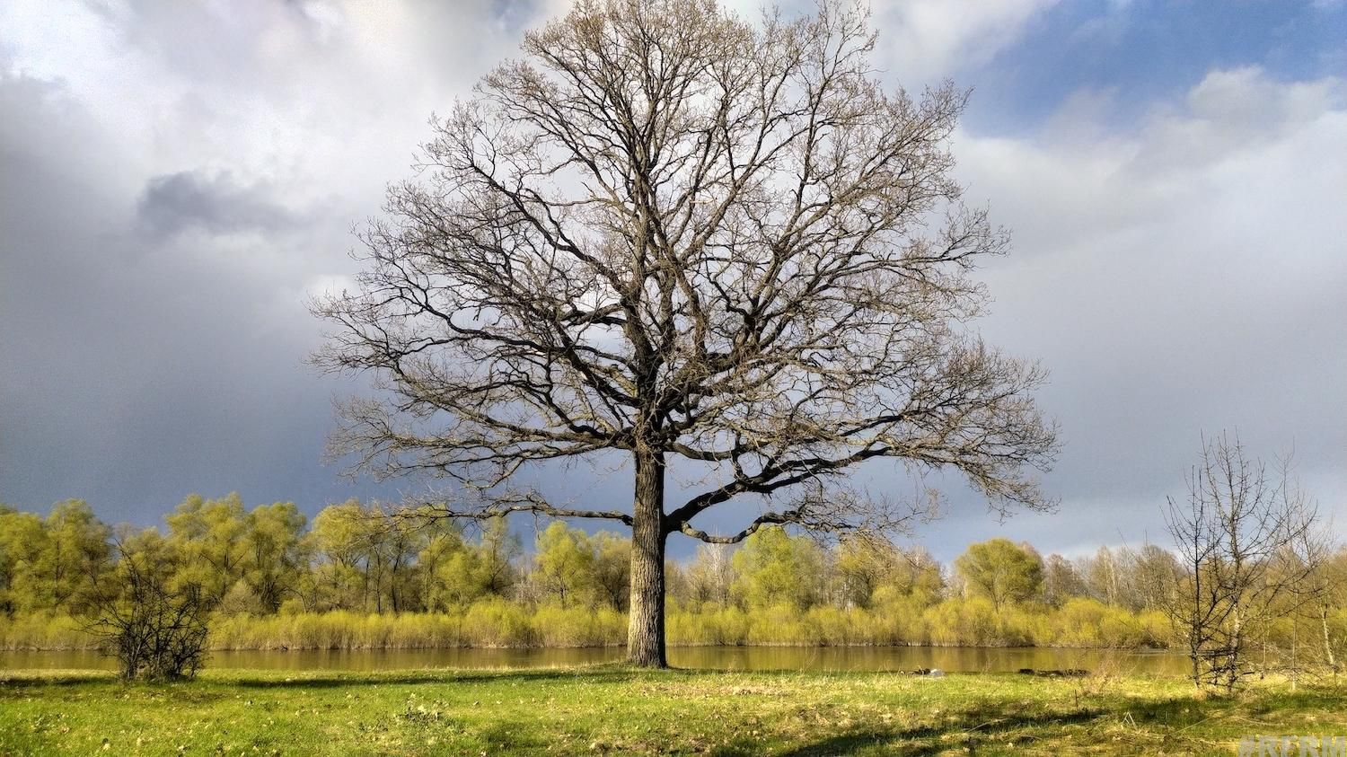 1_Naturaufnahme 1_Naturaufnahme