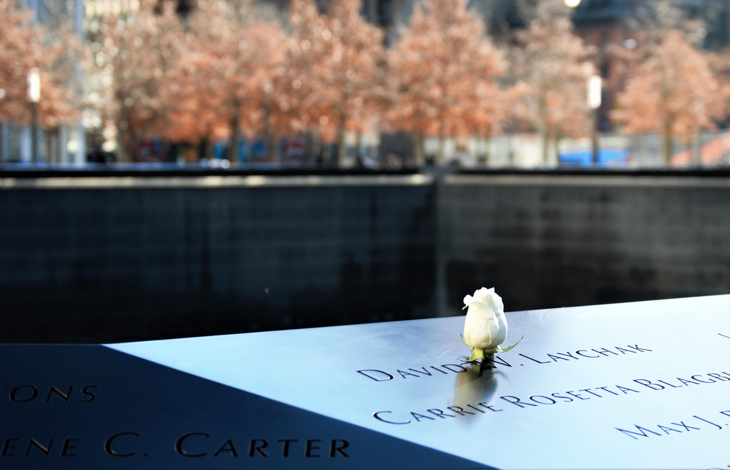 A white rose on the 9/11 Memorial in New York