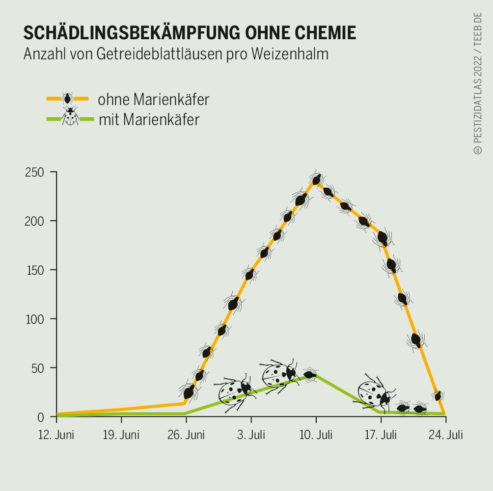 Pflanzenschutz Durch N tzlinge Nat rliche Helfer Heinrich B ll Stiftung pflanzenschutz-durch-n-tzlinge-nat-rliche-helfer-heinrich-b-ll-stiftung