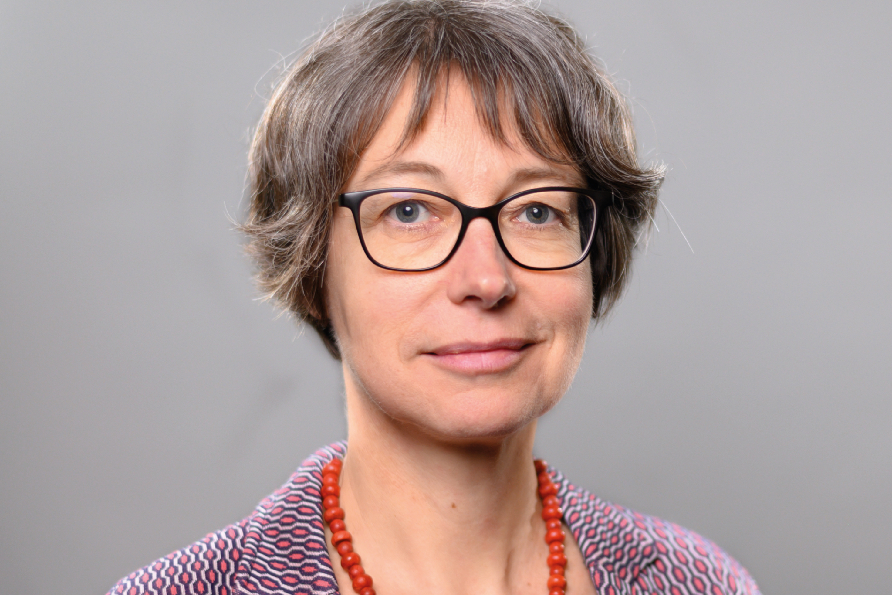 Imme Scholz Imme Scholz, Vorstand der Heinrich-Böll-Stiftung