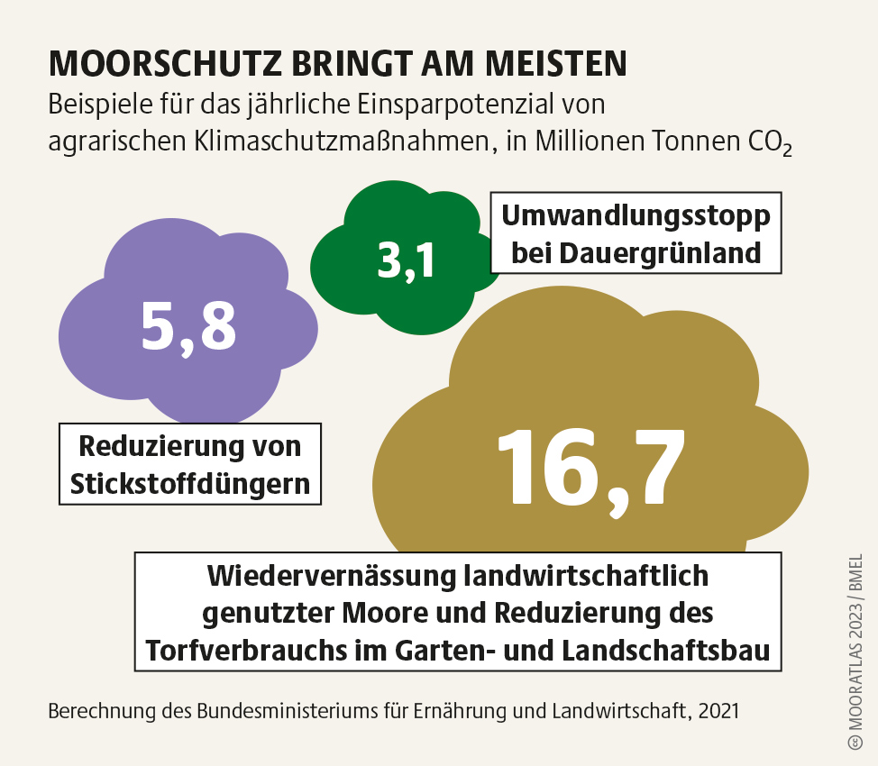 Die Hälfte der Moore in der EU gelten als zerstört