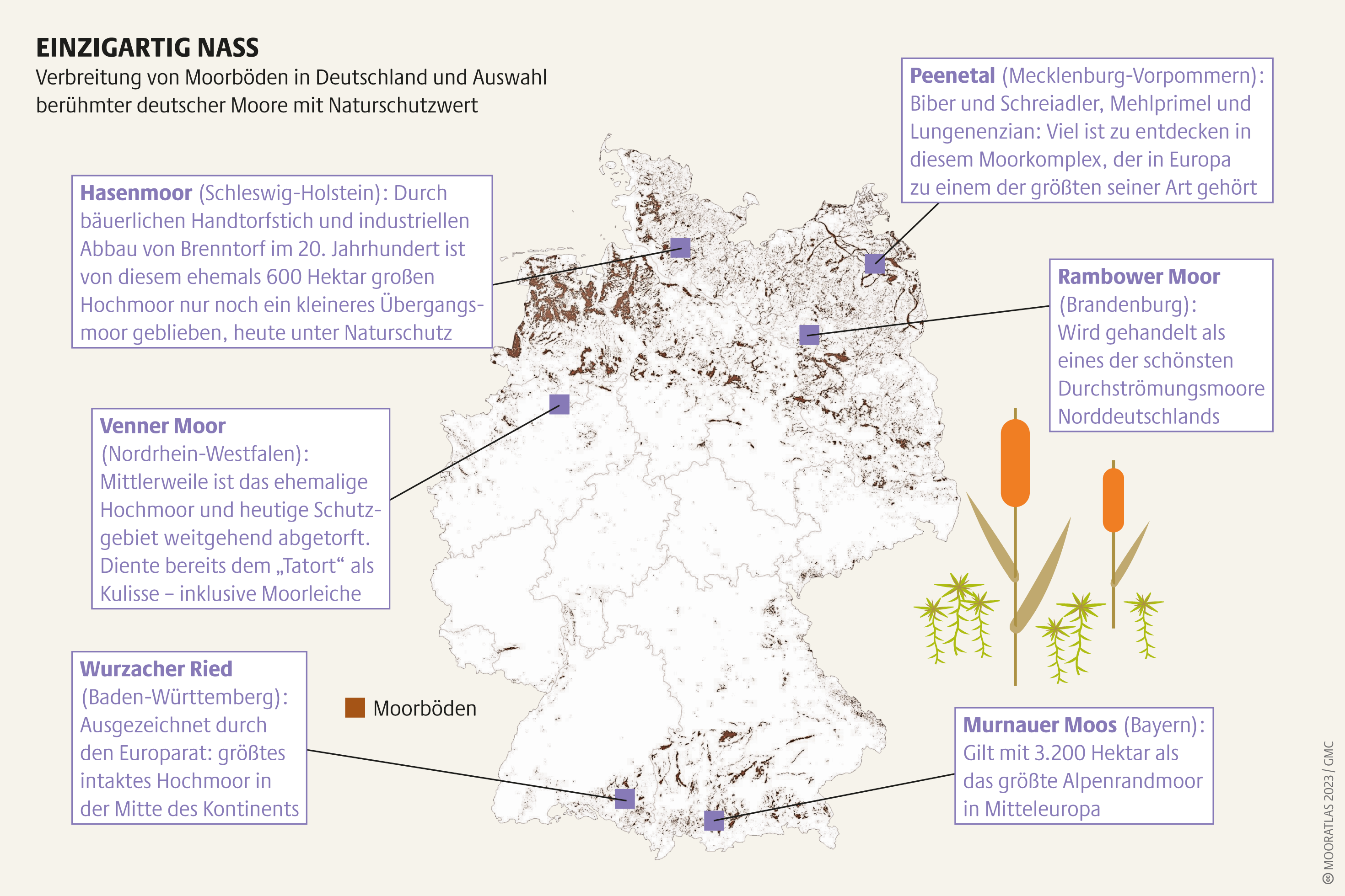Einst bedeckten deutsche Moore eine Fläche groß wie Sachsen. 95 Prozent davon sind mittlerweile entwässert, abgetorft, bebaut oder landwirtschaftlich genutzt Mooratlas Infografik: Verbreitung von Moorböden in Deutschland und Auswahl berühmter deutscher Moore mit Naturschutzwert