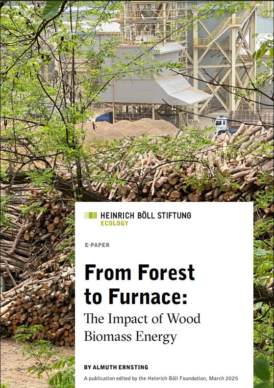 Publication From Forest to Furnace