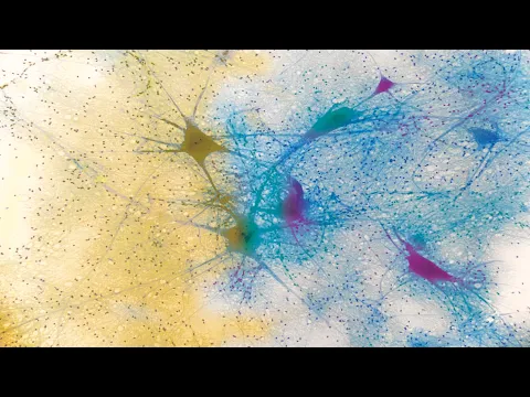 video-thumbnail