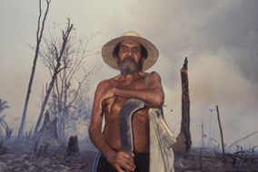 Foto: João Luiz Bulcão - Brandrodung im Amazonas, Waldarbeiter vor vernichtetem Wald