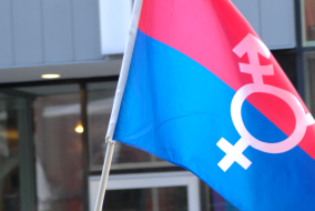 Blau-Rosa Flagge