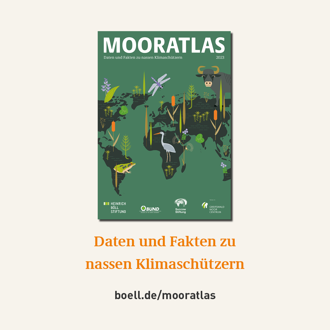 Mooratlas Instagram: Daten und Fakten zu nassen Klimaschützern