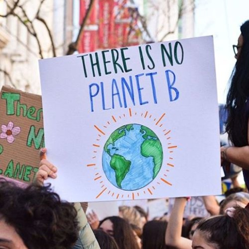 Fridays For Future wer ist das eigentlich? Böll.Fokus HeinrichBöllStiftung