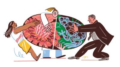 Illustration: Drei menschen ziehen in verschiedene Richtungen an einem Oval, darauf ist ein Frosch und eine Blume abgebildet
