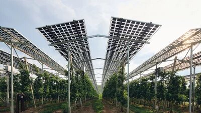 Eine Agri-PV-Anlage steht über Apfelbäumen auf dem Obsthof Bernhard in Kressbronn am Bodensee.