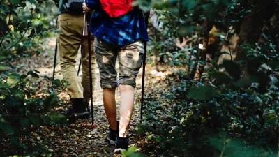 Ostdeutschland: Foto von zwei Wanderern im Wald