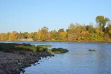 Das Bild zeigt die Elbe bei Magdeburg