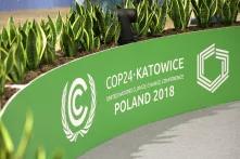 COP 24