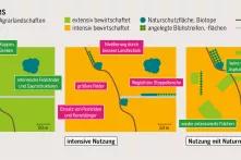 Grafik: Typen mitteleuropäischer Agrarlandschaften im Wandel