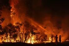 Das Weniger muss mehr werden Buschfeuer in Cessnock