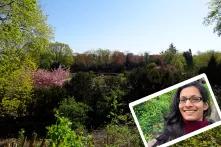 Der Humboldthain in Berlin unter blauem Himmel