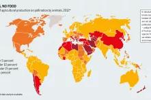 Graphic: No insects, no food