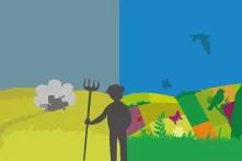 Grafik Biodiversität