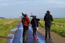Adhoc-Treffen von Stipendiat*innen auf Hallig Hooge im November 2018