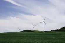 Windräder auf einem grünen Feld