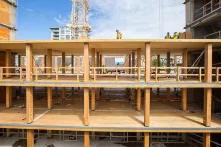Hochhausbau mit Holz