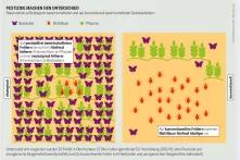 Naturvielfalt auf biologisch bewirtschafteten und auf konventionell bewirtschafteten Getreidefeldern