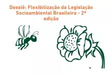 Desenho: Abelha e flor