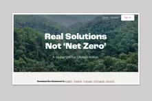 Screenshot der Website Realsolutions