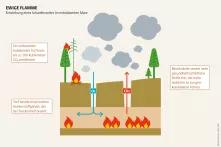 Mooratlas Infografik: Entstehung eines Schwelbrandes im entwässerten Moor