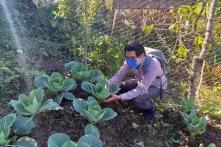 Victor Santiz on a vegetable field