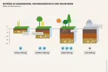 Gut entwickelte, tiefe Böden können besonders viel Regenwasser speichern. Ins Grundwasser gelangt es durch versickern