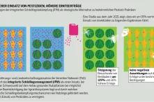 Infografik zeigt, dass ein geringerer Einsatz von Insektiziden und intergriertes Schädlingsmanagement die Erneerträge steigern kan