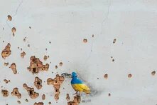 Eine zerstörte Mauer mit dem Graffiti eines Vogels in den Farben der Ukraine