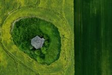 Green Recovery: Grünes Feld