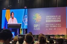 Rede von Susana Muhamad, kolumbianische Umweltministerin, bei der Eröffnung der 16. UN-Biodiversitätskonferenz (COP16) in Cali, Kolumbien, vor einer großen Leinwand mit Konferenzdetails sowie den Flaggen Kolumbiens und der UN.