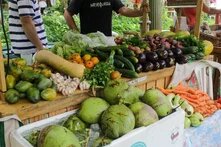 Foto: Marktstand mit tropischen Früchten und Gemüse, darunter Kokosnüsse, Karotten, Auberginen, Gurken und Kräuter. Zwei Personen im Hintergrund.