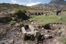 Eine felsige Landschaft mit grasbedeckten Flächen. Ein Esel trinkt aus einer Tränke, weitere Esel und Kühe grasen im Hintergrund.