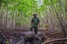Ein Mann steht im dichten Wald