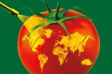 Red tomato with golden yellow world map on the surface, green panicle at the top, brush with yellow liquid on the left (Pesticide Atlas 2022)