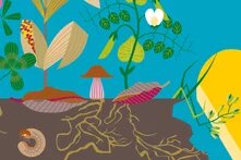 Illustration: plants, mushroom, roots, grub; yellow digger arm with plant.
